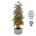 Ennufo Tomato Planter with Trellis, Self Watering Raised Garden Bed, Tomato Cages for Garden, Patio Vegetable Planter, 57 Inch