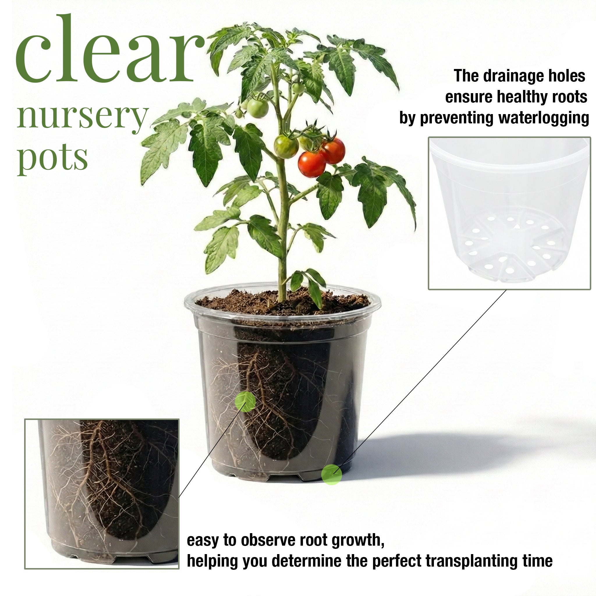 ENNUFO Clear Nursery Pots with Drainage, 4/5/6 inch Plastic Pots for Indoor Plants, 81 Pcs Seed Starter Kit with Plant Saucers, Labels & Tools