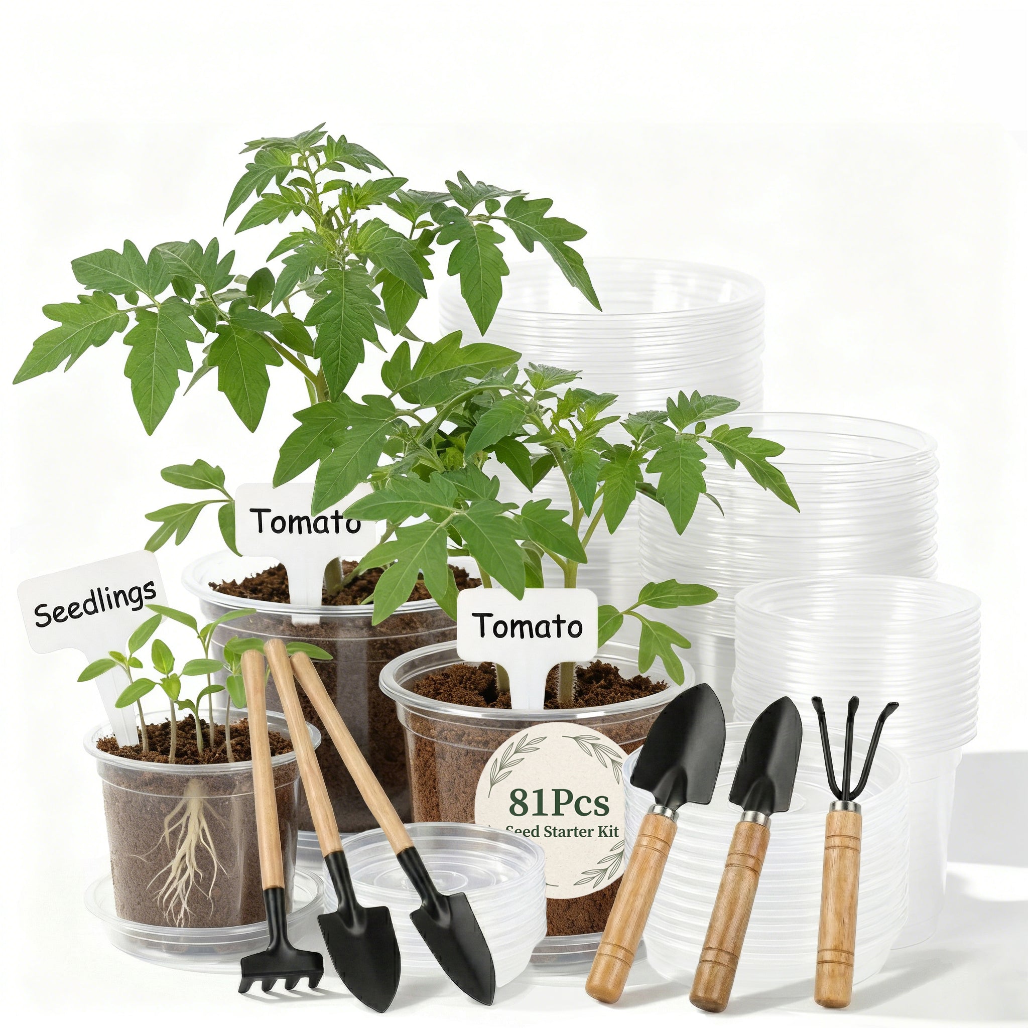 ENNUFO Clear Nursery Pots with Drainage, 4/5/6 inch Plastic Pots for Indoor Plants, 81 Pcs Seed Starter Kit with Plant Saucers, Labels & Tools